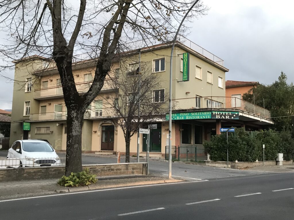 LANARI PINO SOLITARIO 1 BIS