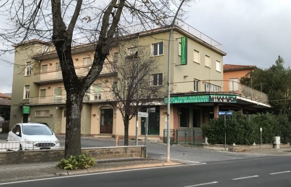 LANARI PINO SOLITARIO 1 BIS