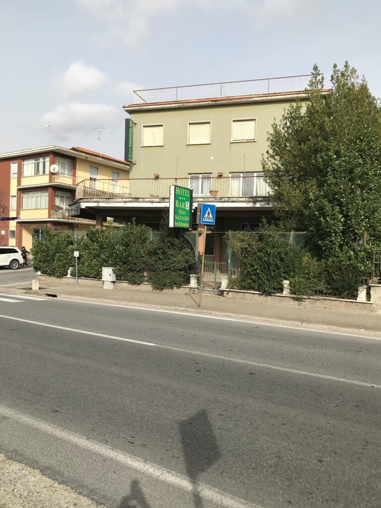 LANARI PINO SOLITARIO 4